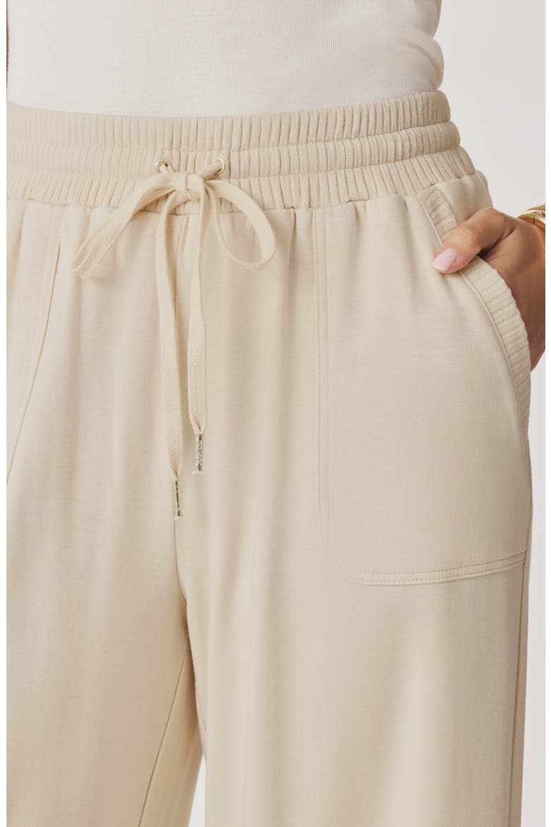 Jada Drawstring Pants, Alternate, color, LIGHT FAWN BEIGE
