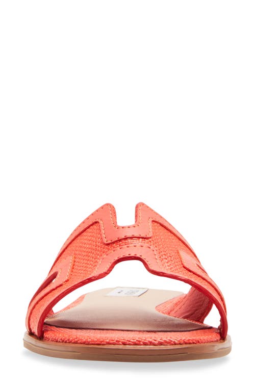 STEVEN NEW YORK STEVEN NEW YORK HARLIEN SLIDE SANDAL 