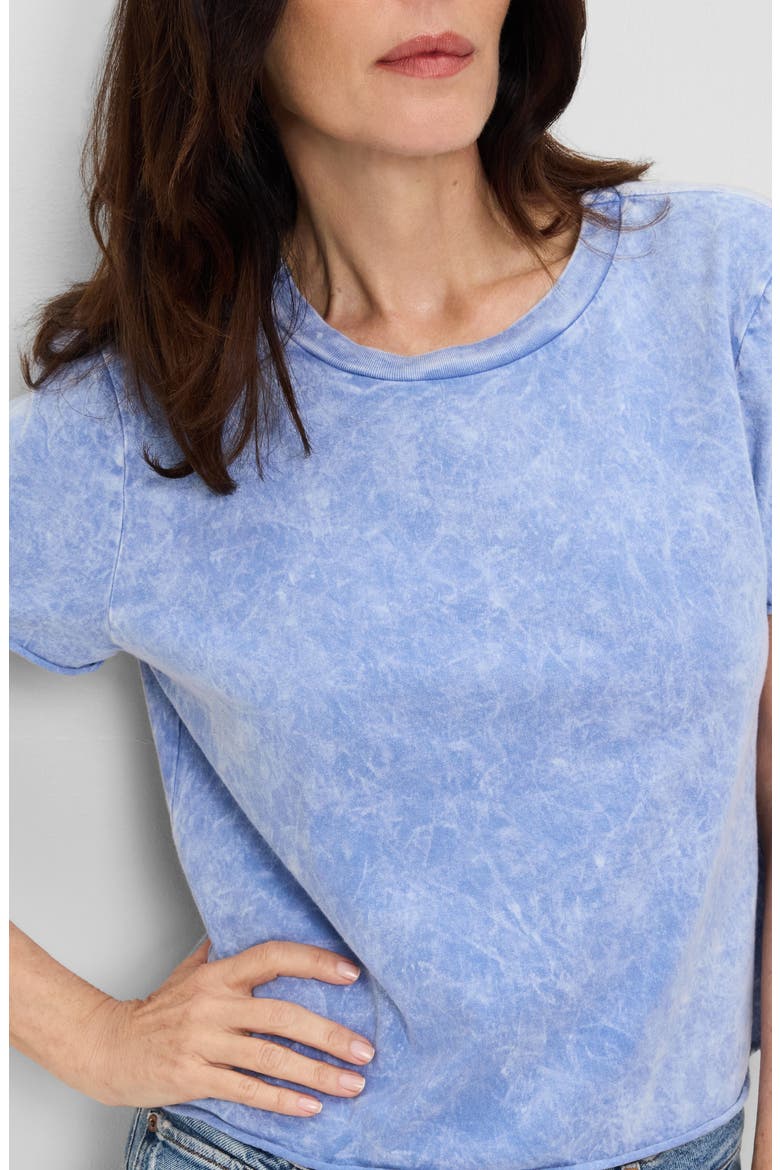 Jackie Raw Edge Crewneck T-Shirt, Alternate, color, SKY