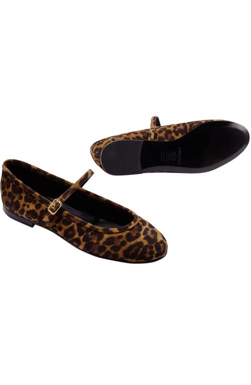Margaux The Demi Jane Flat In Animal Print