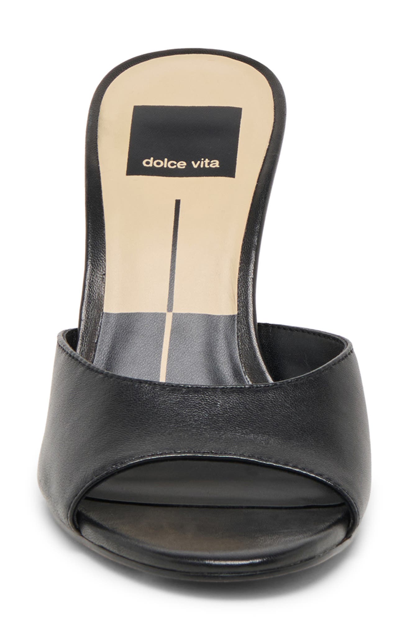 Dolce Vita Rosha Slide Sandal, Alternate, color, Black Leather