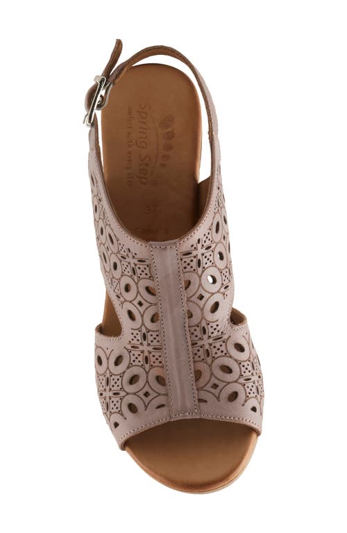 Spring Step Kovach Slingback Sandal In Taupe