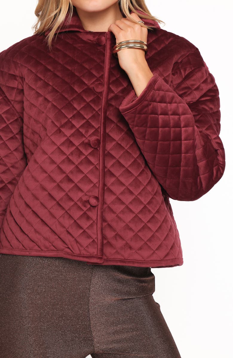 Petal & Pup Roxanna Quilted Velvet Jacket, Alternate, color, Wine
