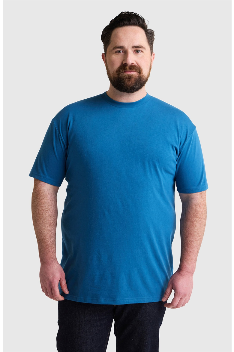 Crew Neck T-Shirts, Alternate, color, Blues Crew