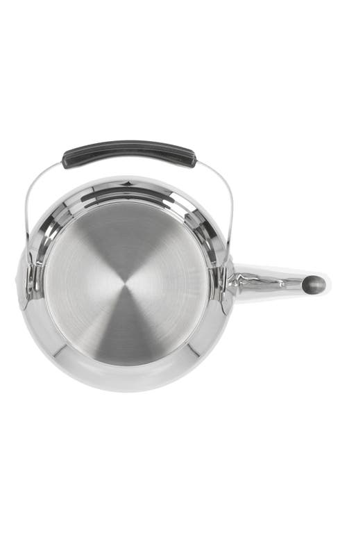 Demeyere Resto 4.2-quart Stainless Steel Kettle In Silver