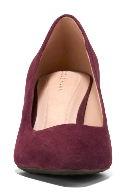 Cole Haan The Go-to Janey Pointed Toe Pump