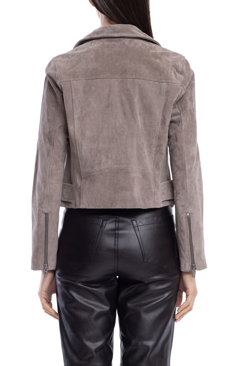 BLANKNYC Suede Moto Jacket, Alternate, color,
