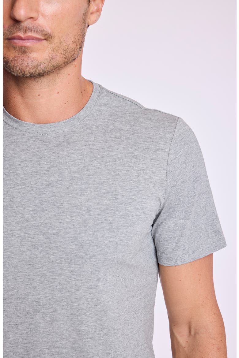 Lucas Crewneck T-Shirt, Alternate, color, LIGHT GREY