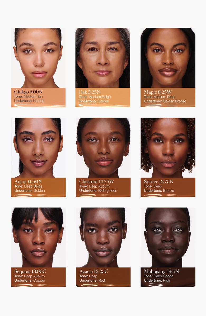 OGEE Complexion Perfecting Tinted Serum Foundation, Alternate, color, Acacia