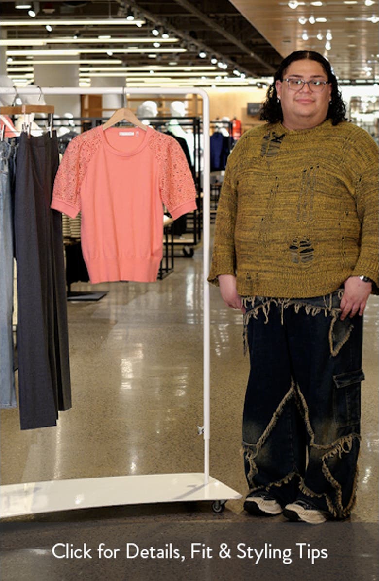 The Felicity Eyelet Embroidery Sleeve Sweater, sales video thumbnail