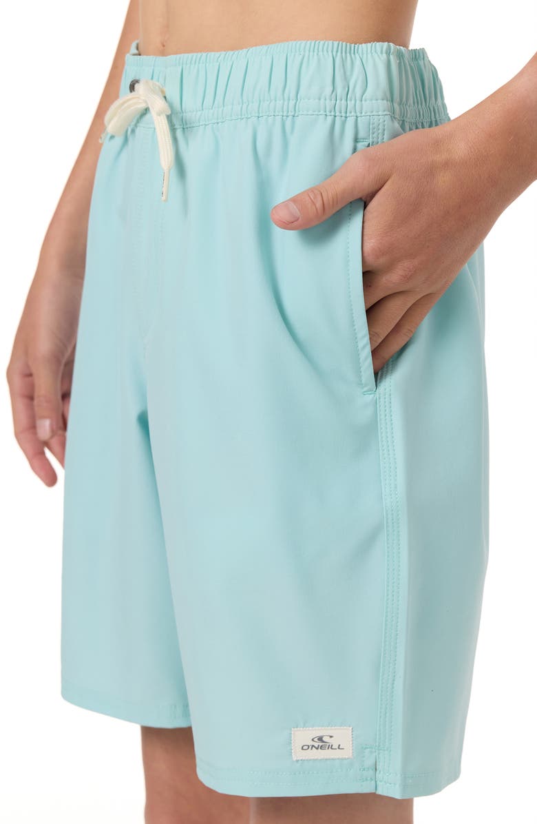 O'Neill Kids' Lennox Hermosa Solid Volley Swim Trunks, Alternate, color, Canal Blue