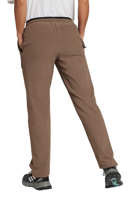 Adidas Originals Adidas Terrex Multi Liteflex Pants In Brown