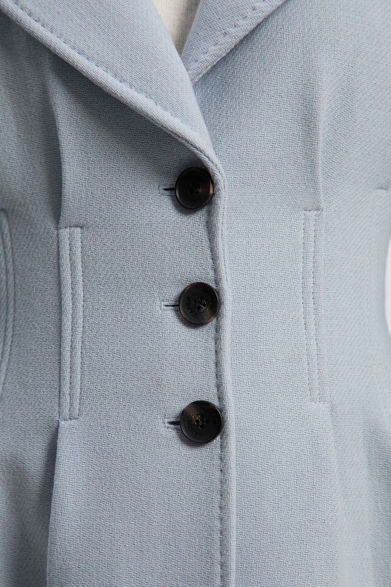 Corset Detail Full Skirted Maxi Coat, Alternate, color, Pale Blue