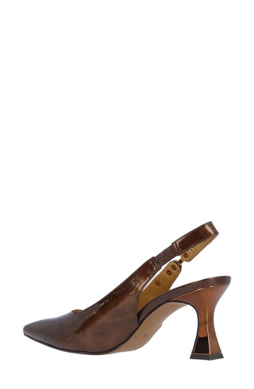 J. Reneé Krissa Slingback Pointed Toe Pump In Brown