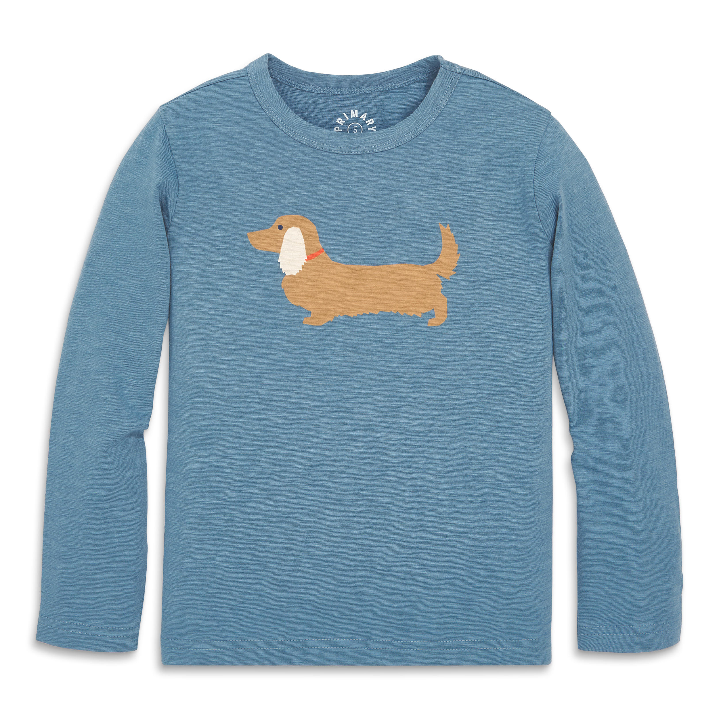 selected Moonlight Dachshund