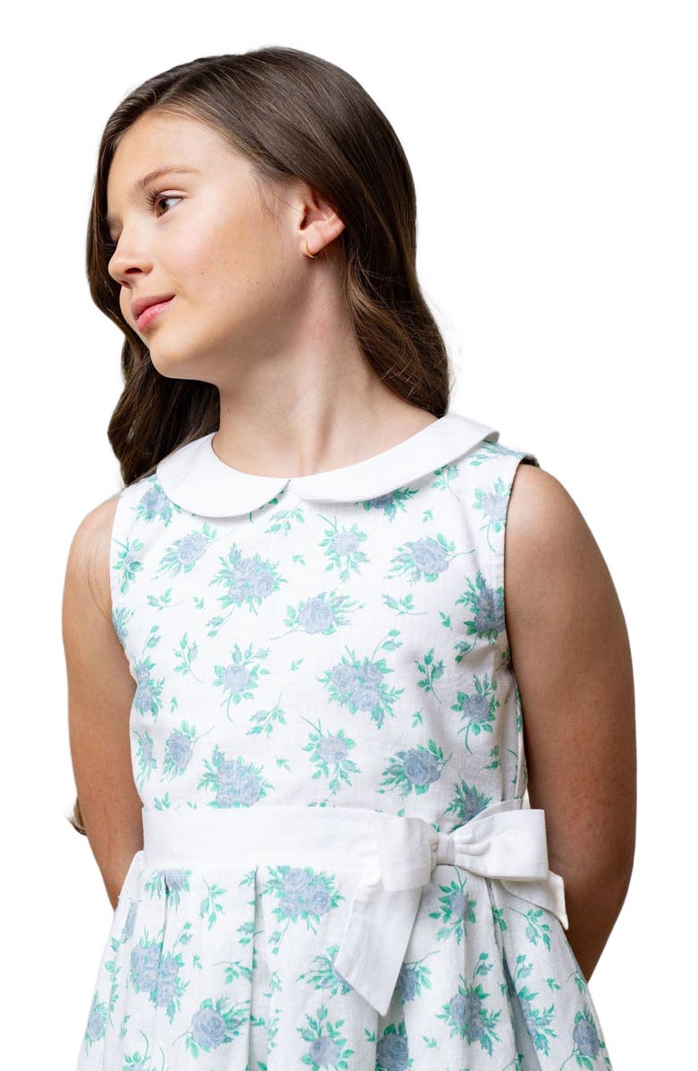 Hope & Henry Girls' Linen Tea Dress, Toddler, Alternate, color, Coastal Cottage Floral