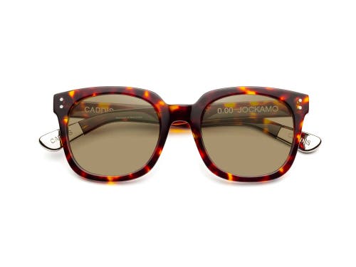 Caddis Jockamo | Polarized Sunglasses