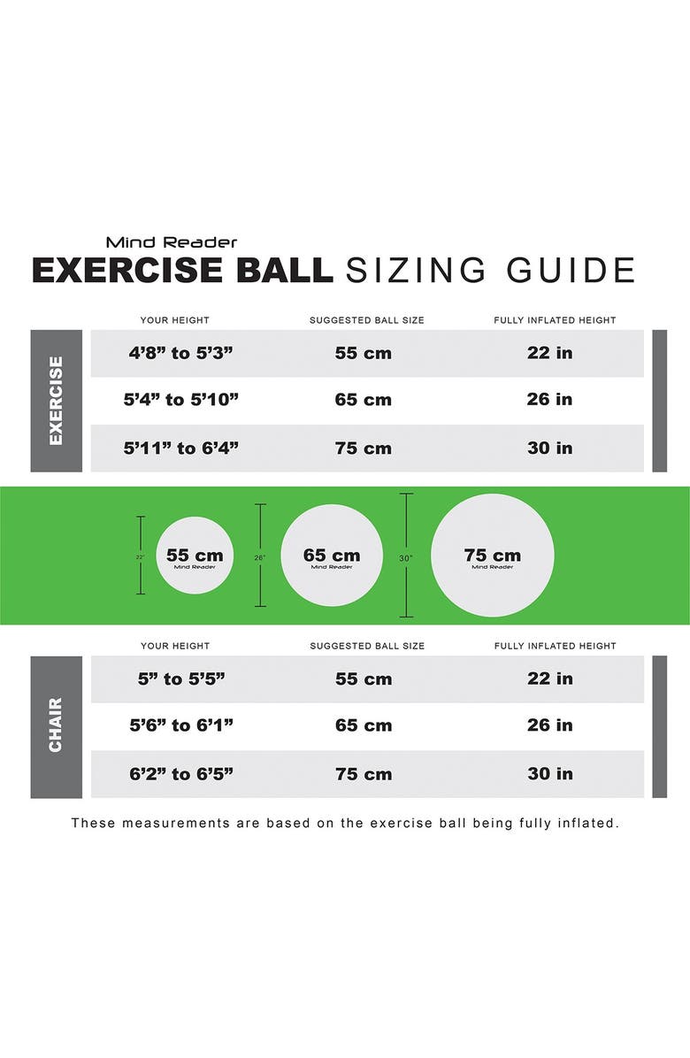 MIND READER Exercise Yoga Ball & Quick Pump, Alternate, color,