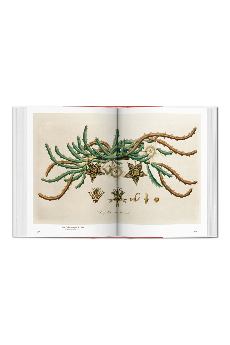 A Garden Eden Masterpieces of Botanical Illustration 45th Edition Book, Alternate, color, Off-White