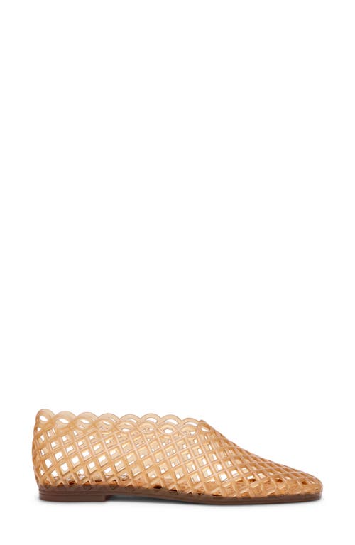 Steve Madden Grove Jelly Flat In Brown
