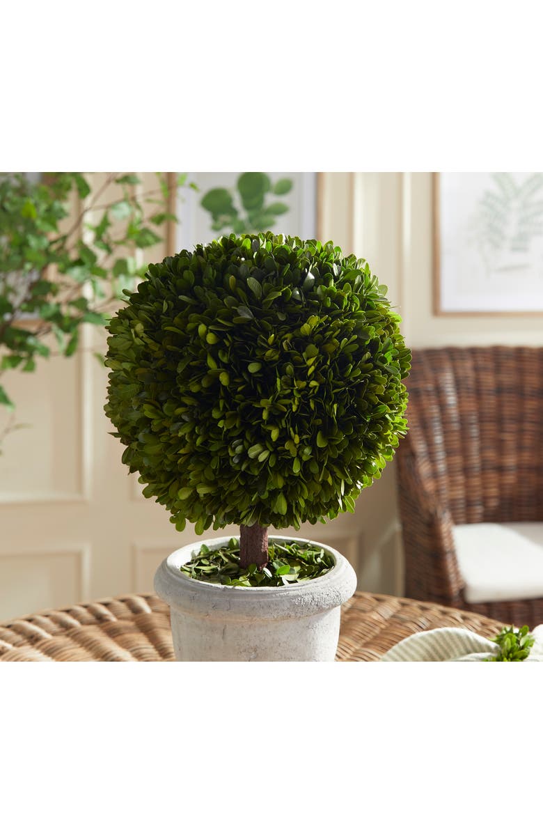 Napa Home & Garden Boxwood Single 11" Ball Topiary In Pot, Alternate, color, Green