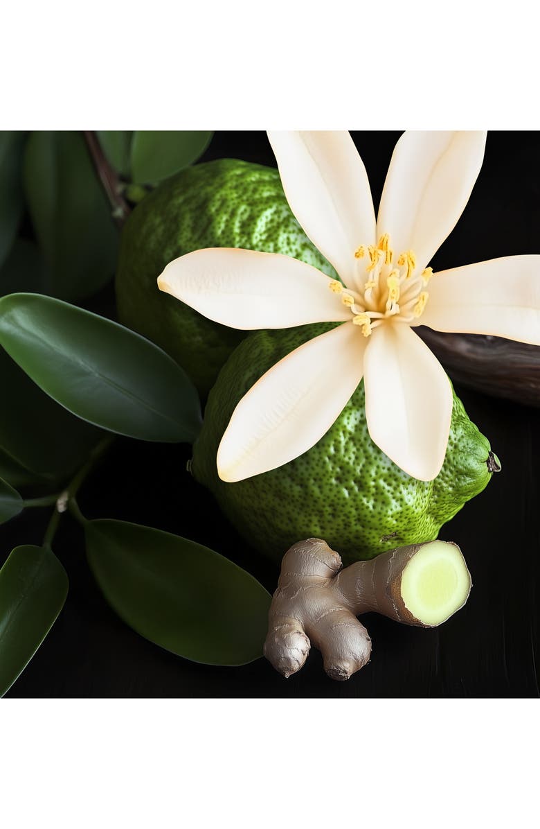 House of Sillage Whispers of Time Parfum, Alternate, color, 