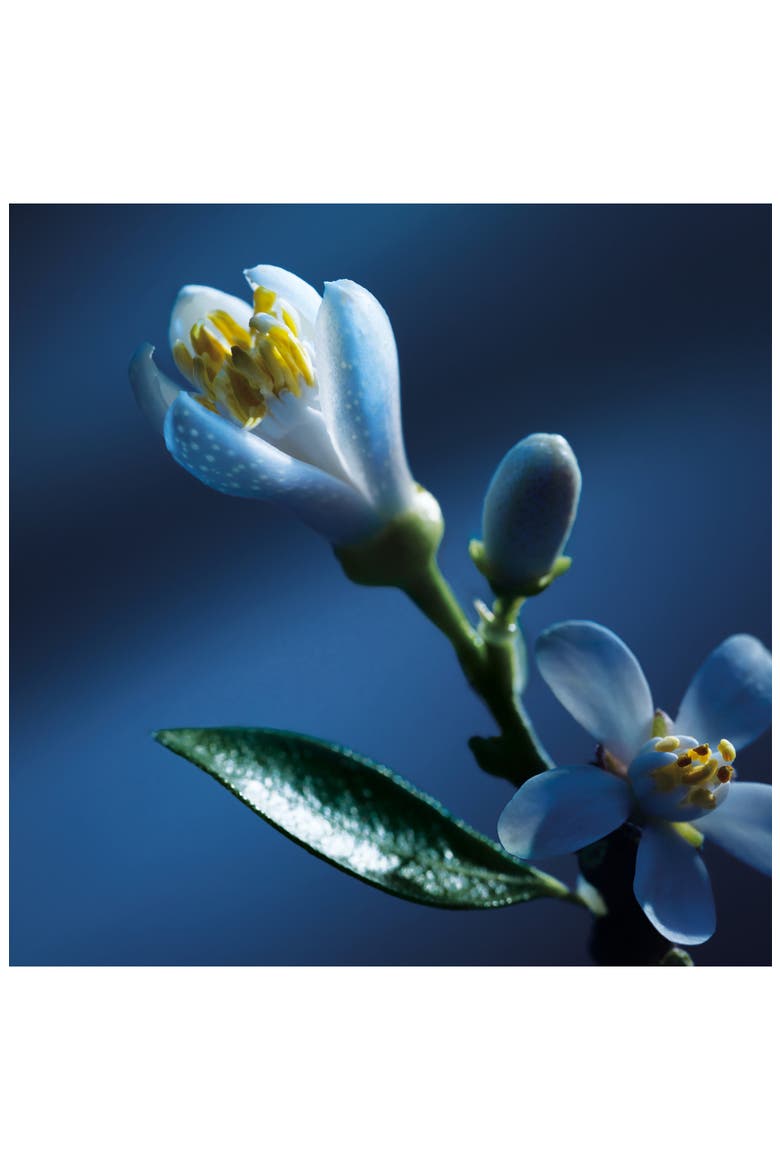 Atelier des Fleurs Nuit d'Oranger Eau de Parfum, Alternate, color, NO COLOR