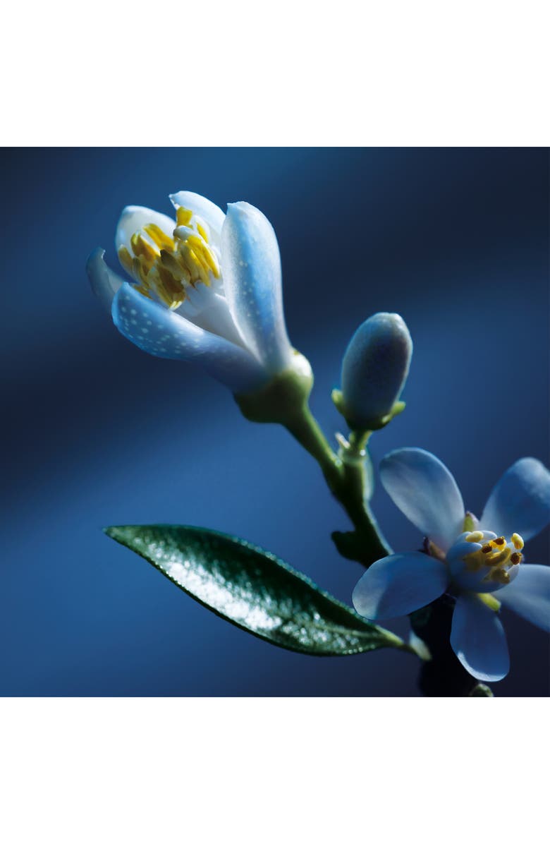 Chloé Atelier des Fleurs Nuit d'Oranger Eau de Parfum, Alternate, color, 