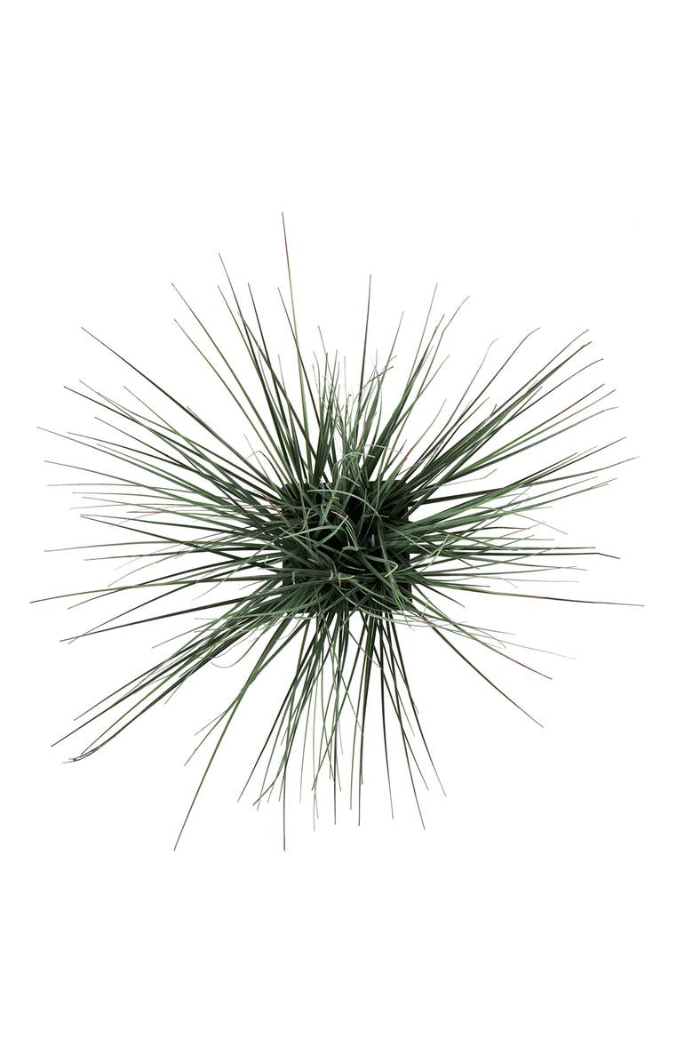 GINGER BIRCH STUDIO Artificial Potted Plant, Alternate, color, 