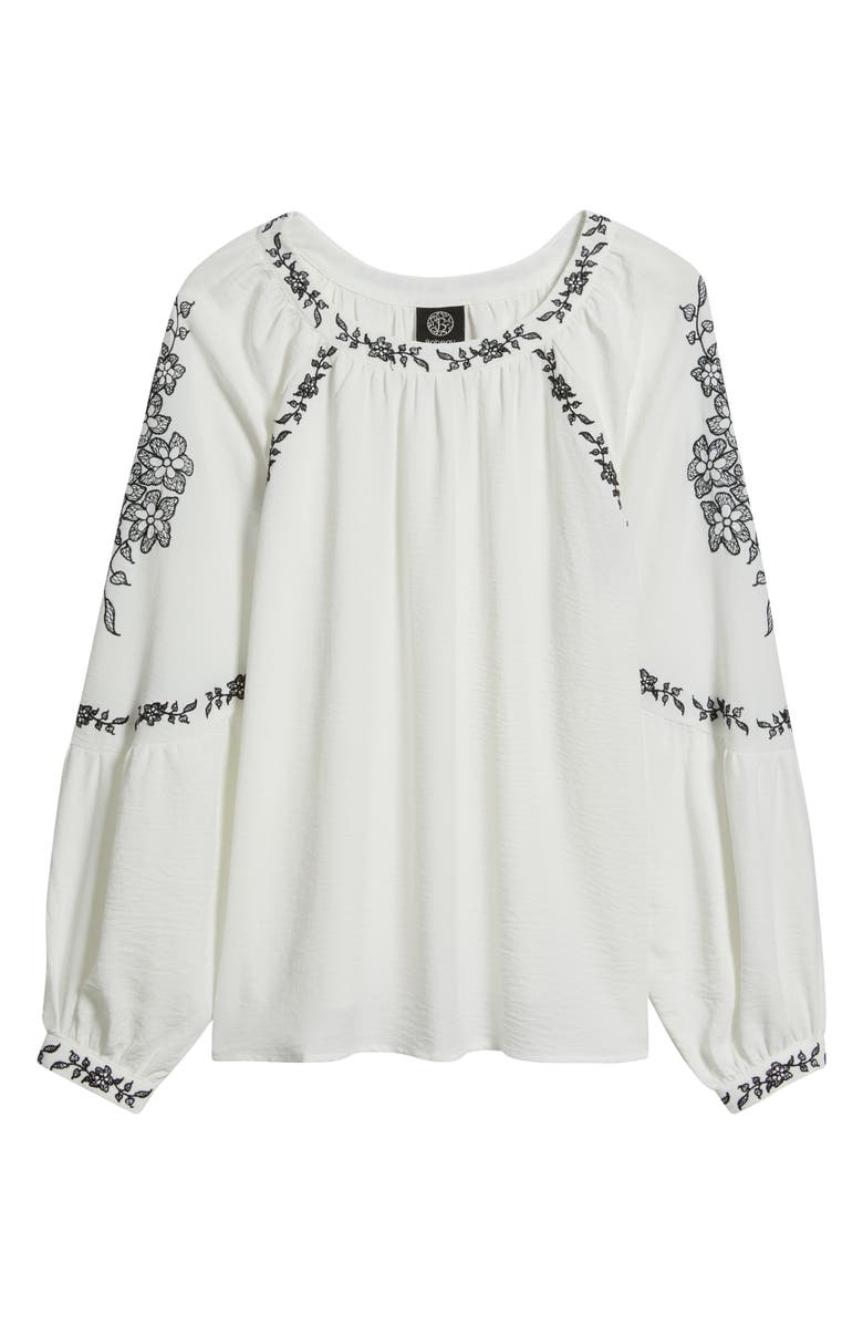 Bobeau Embroidered Raglan Sleeve Top, Alternate, color, Ivory