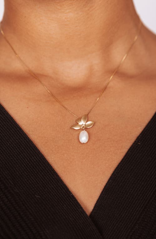 Set & Stones Maeve Freshwater Pearl Pendant Necklace In Multi