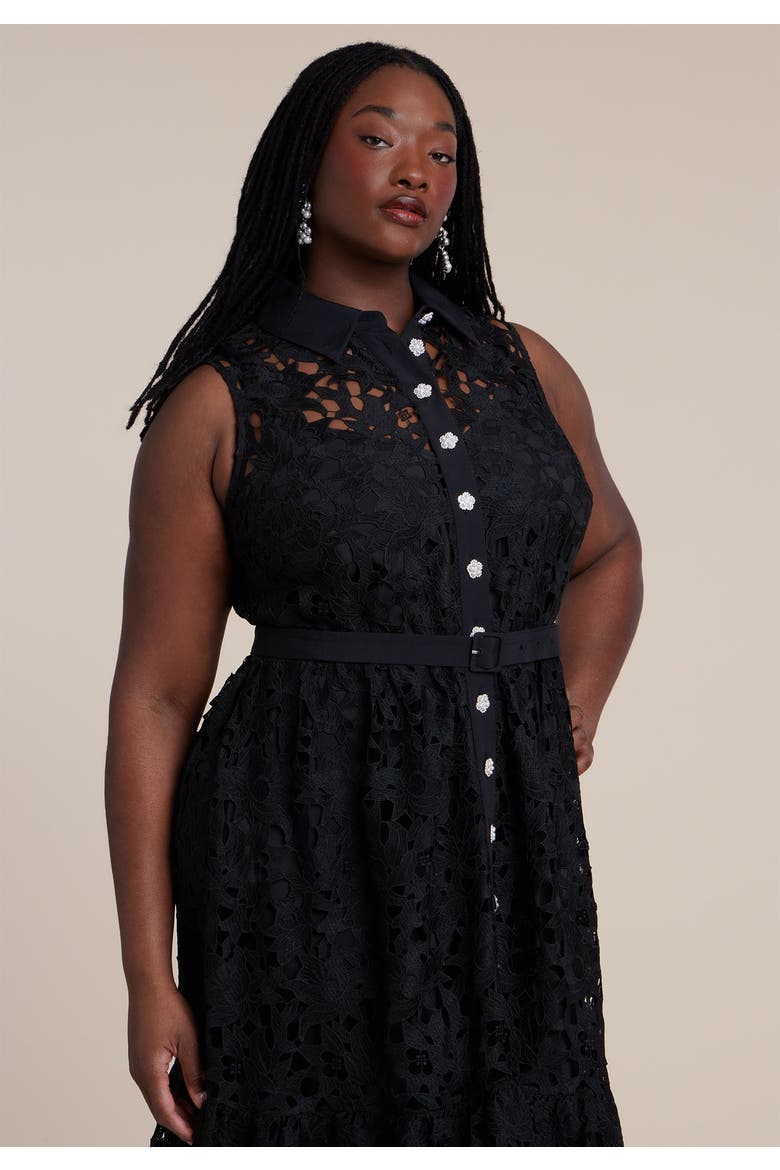 Lace Dress With Buttons & Collar, Alternate, color, BLACK ONYX