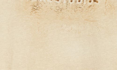 Acne Studios Etza Sand Trompe L'oeil Cotton T-shirt In Brown