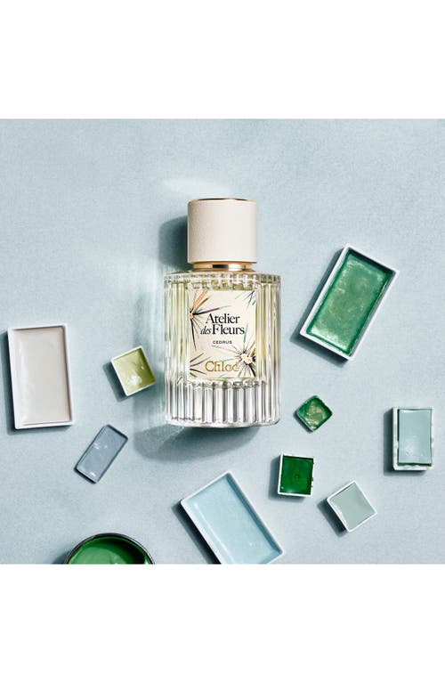 Chloé Atelier Des Fleurs Cedrus Eau De Parfum In Transparent