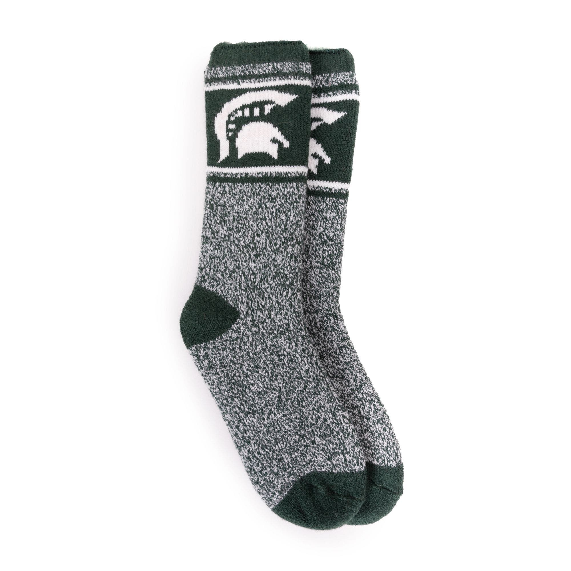 Michigan State