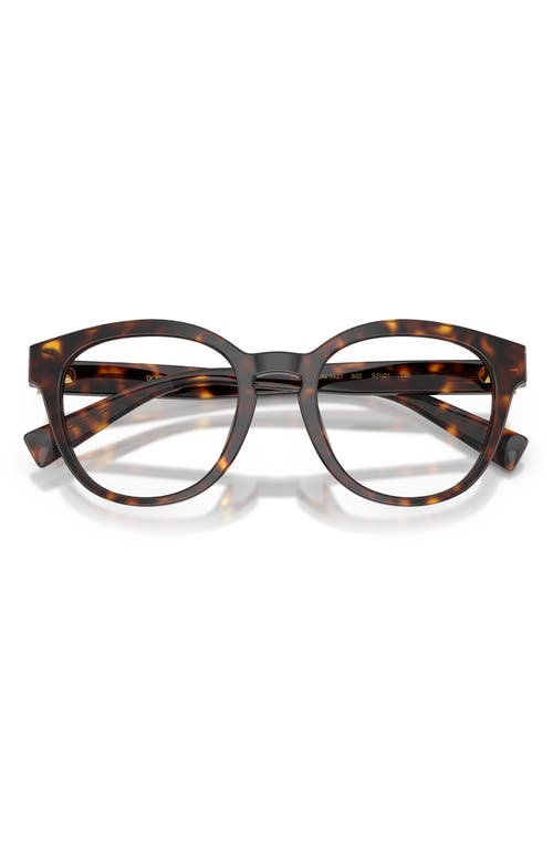 Dolce & Gabbana Dolce&gabbana 52mm Polarized Phantos Optical Glasses In Havana