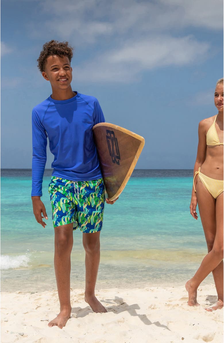 Snapper Rock Kids' Toucan Jungle Swim Trunks, Alternate, color, Blue