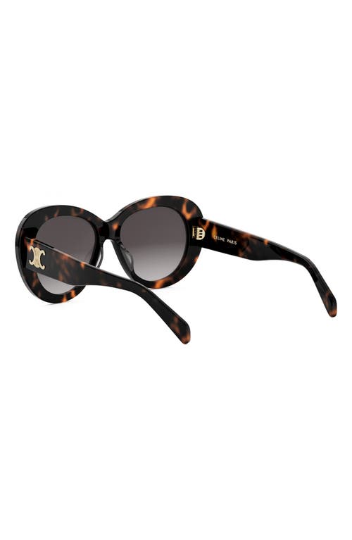 Celine Triomphe Logo Oval Acetate Sunglasses