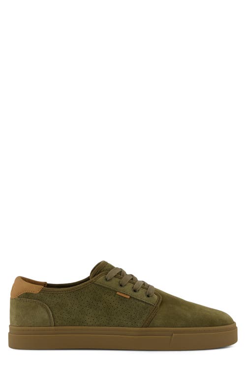 Toms Carlo 2.0 Perforated Sneaker In Green
