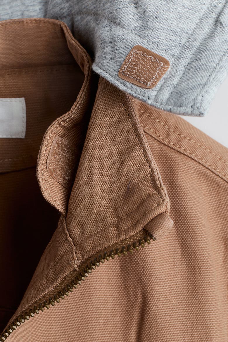 Hooded Canvas Jacket, Alternate, color, Dark beige