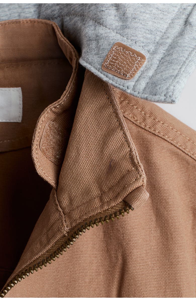 H&M Hooded Canvas Jacket, Alternate, color, Dark Beige