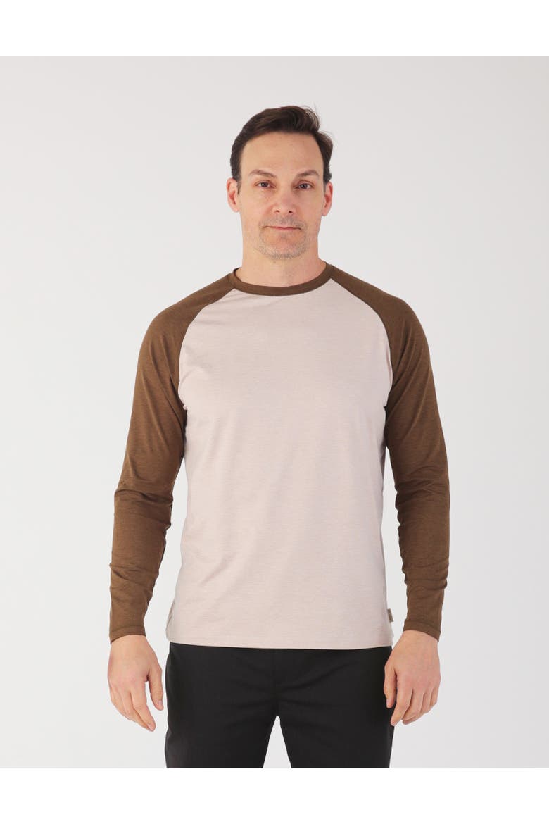 Slider Raglan Crew Neck, Main, color, Oatmilk/Chocolate