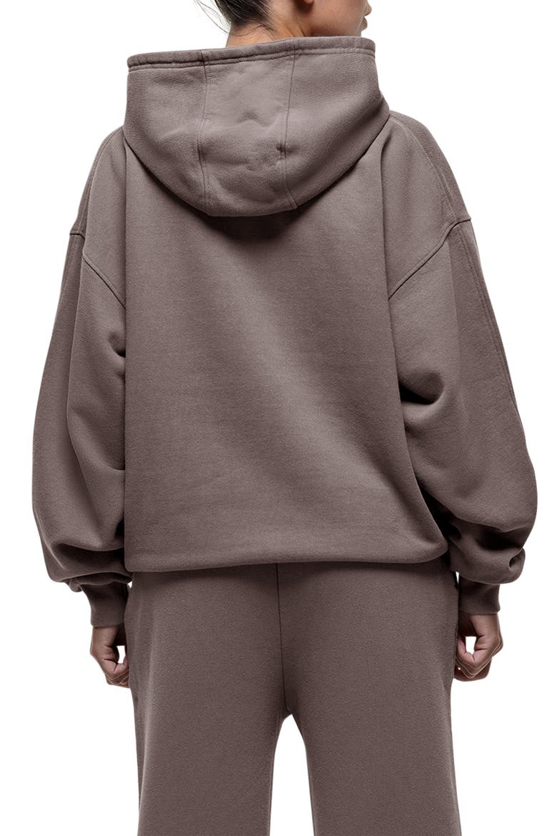 Vintage Taupe Relaxed Hoodie, Alternate, color, Brown