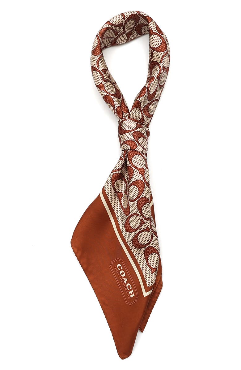 COACH Vintage Signature C Silk Scarf, Alternate, color,