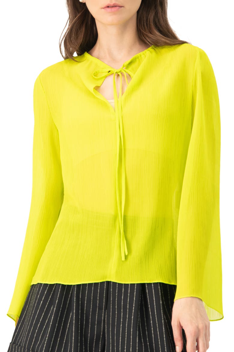Long Sleeve V-Neck Tunic Blouse, Main, color, Light Green