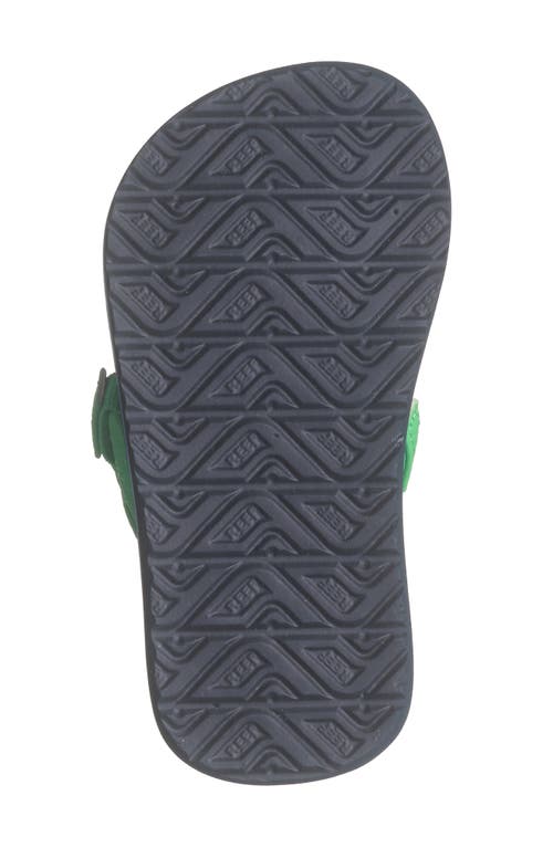 Reef Kids' Little Ahi Flip Flop In Multi Shark