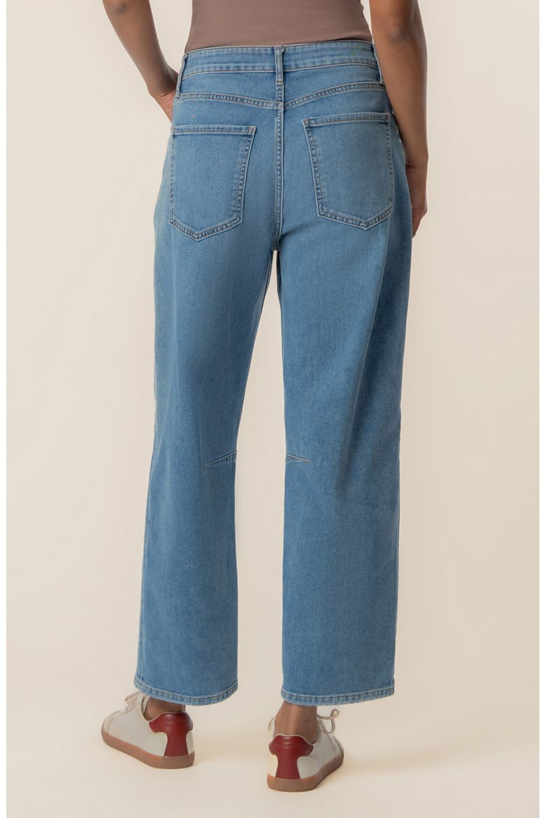 Ashton High Waist Crop Barrel Jeans, Alternate, color, DYNAMIC