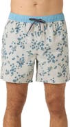 O'Neill OG Volley Swim Trunks