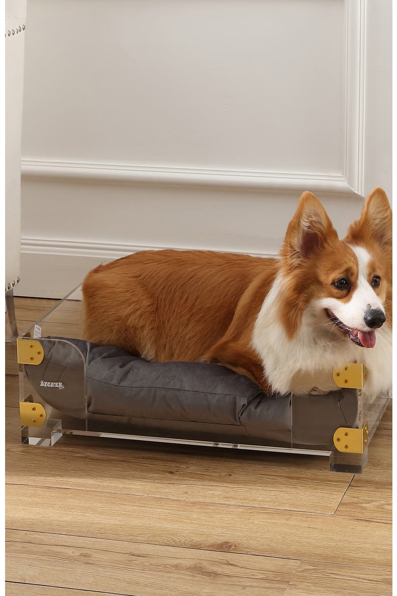 Haines 21.5" x 15.25" Small/Medium Modern Lucite Velvet Pet Bed with Washable Cushion, Alternate, color, Dark Gray/Clear/Brass Gold