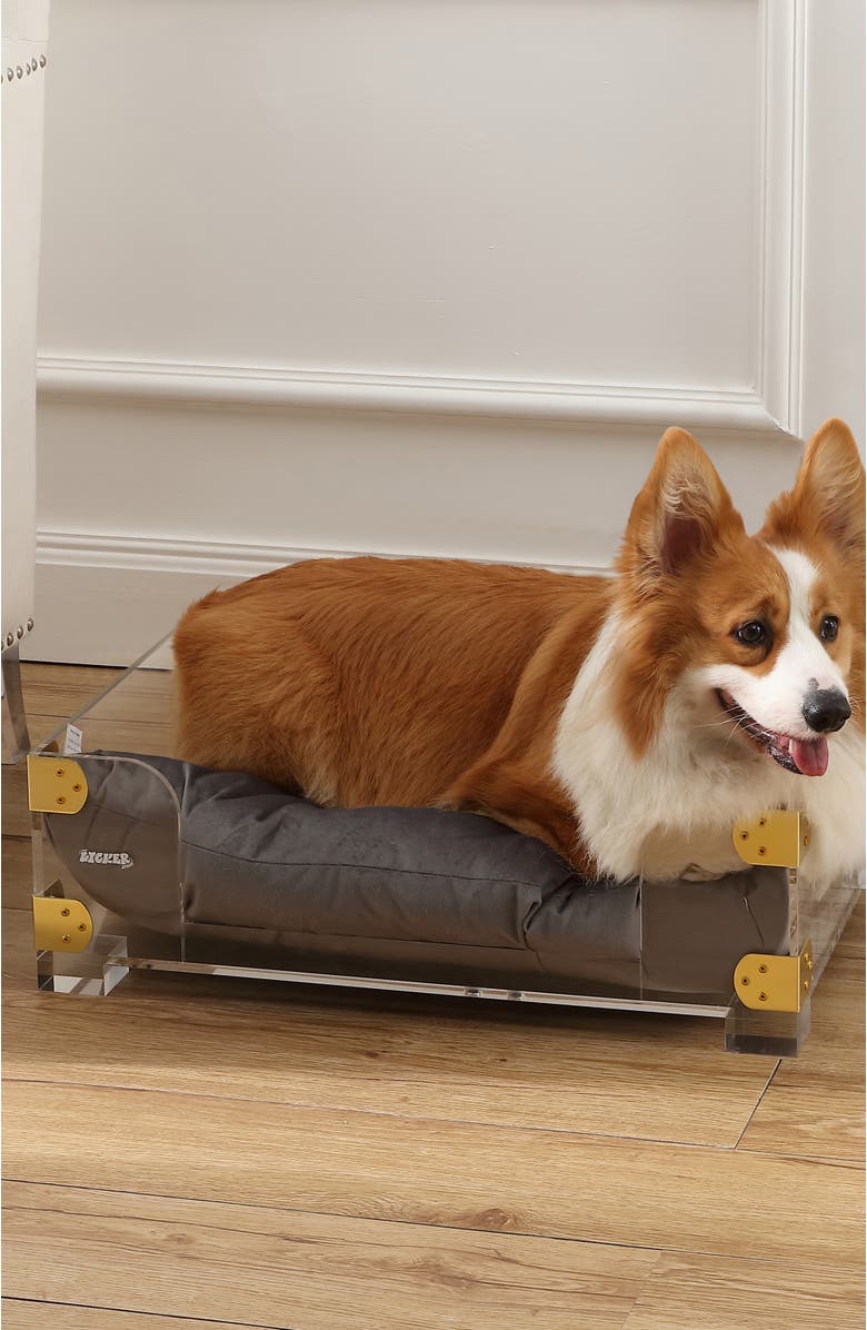 The Licker Store Haines 21.5" x 15.25" Small/Medium Modern Lucite Velvet Pet Bed with Washable Cushion, Alternate, color, Dark Gray/Clear/Brass Gold